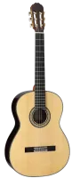 TAKAMINE CLASSIC SERIES H8SS классическая акустическая гитара, цвет натуральный, струны нейлон, кейс в комплекте