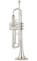 Yamaha YTR-4335GS (II)  труба Bb студенческая, средняя, gold brass bell, посеребренная