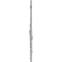 J. Michael FL-380SE Флейта С, E-механизм, серебряное покрытие,  деревянный кейс