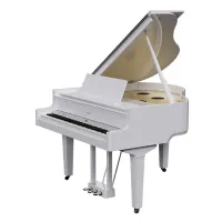 Roland gp 9m pw  цифровой рояль, 88 клавиш