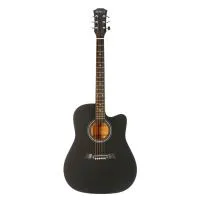 Акустическая гитара Belucci BC4120 BK