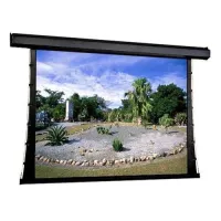 Экран Premier HDTV (9:16) 269/106" 132*234 XT1000VB ebd 12" case black