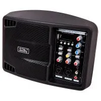 PSM05R Монитор активный, 150Вт, Soundking