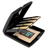 D`ADDARIO WOODWINDS RVCASE04 REED GUARD CASE, MULTI-INSTR кейс для хранения и поддержания влажности тростей
