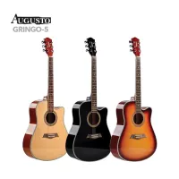 Gringo-5, Акустическая гитара  AUGUSTO Gringo-5