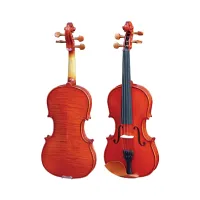 HMI HV-200CH 4/4 Скрипка Student 4/4,  в кейсе, смычок, канифоль, верхняя дека - массив ели, нижняя дека, обечайки - массив клена, гриф - черное дерево, лак