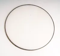 90549938 Global CGHP 12 Пластик для тамбурина 12'', Sonor