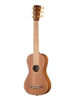 Poni TG1-3 - Гитары иных форм