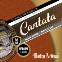 Classical guitar B string Medina Artigas Cantata 6302 - B2 string from a professional medium tension classical guitar string set.