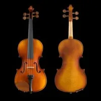 Pearl river pr-v01 4/4 sale  скрипка, размер 4/4, ель/ клен, чехол, канифоль и смычок, 4 машинки