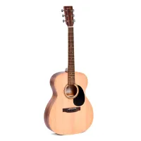 Гитара Ditson G-10
