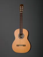 SS300 Eco Walnut Классическая гитара Hora