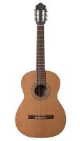 C770-4/4 Классическая гитара, Strunal