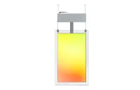 Тонкий двусторонний дисплеи Lumien [LCAD4301FHD] серии Clear, крепление к потолку, диагональ 43",разрешение 1920x1080, контрастность 1200:1,  яркость 450+450 кд/кв.м,  Android 11, портретная/ ландшафтная ориентация