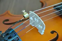 DWTV1 Подавитель волчков для скрипки, Мозеръ