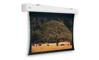 [10192686] Экран  Projecta Tensioned Elpro Large Electrol 151x400 см (раб.область116x390см) Matte White с эл/приводом, доп. черная кайма 30 см