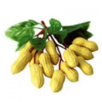 Tycoon PEANUT Шейкер "арахис"