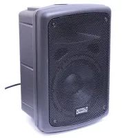 SOUNDKING FP208-1A Активная акустическая система, 100Вт, Soundking