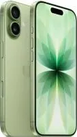 Смартфон Apple iPhone 17 256Gb Sage A3520 MG6N4HN/A (Sim+eSim)  195950644241