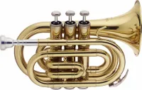 STAGG WS-TR245S - Труба, строй Bb, лакированный корпус, мягкий чехол в комплекте.