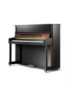 Pearl river pe121 (a111)  акустическое пианино, высота 121 см, цвет черный полированный