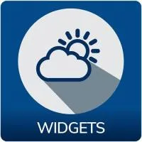Лицензия spinetix widgets постоянная
