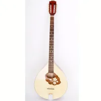 Бузуки Hora Irish Bouzouki M1089 с чехлом