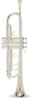 Roy Benson TR-402S Bb Труба