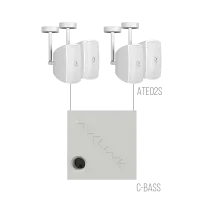 AVCLINK LIGHT/SW Состав комплекта: ATEO2S/W 4 штуки + C-BASS 1 штука белого цвета.