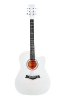 Акустическая гитара Belucci BC4110 WH