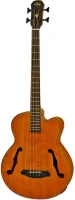 ARIA FEB-F2M STBR - электроакустическая бас-гитара, мензура 32",  верхняя дека, задняя дека и обечайка нато, гриф нато, накладка орех, электроника AEQ-4B с 4х полосным эквалайзером, цвет STBR (Stained Brown)