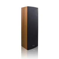 DSPPA DSP-203N