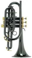 Корнет Bb CarolBrass CCR-3882-GSS-Bb-BG