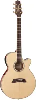 TAKAMINE TSP138CN электроакустическая гитара, в комплекте кейс