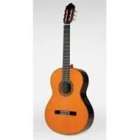Esteve 11 sp + кейс  классическая гитара 4/4, массив ели/ массив палисандра, гриф кедр