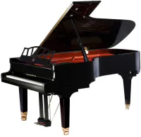 WendlandLung W218BK - Рояли