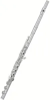Флейта Pearl Quantz PF-F525RBE