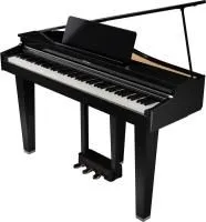 Roland Gp-3-pe