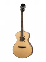 Parkwood P630-NAT - Гитары иных форм