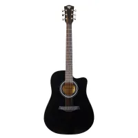Rockdale Aurora D5 Gloss C Bk