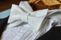 Галстук-бабочка Mr.&Mrs.Bowtie пике, белый, самовяз