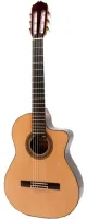 Электрифицированная гитара Raimundo 631E Spruce