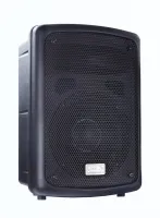 FP208-1A Активная акустическая система, 100Вт, Soundking