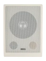 DS-639 Громкоговоритель настенный, 5-10Вт, TADS