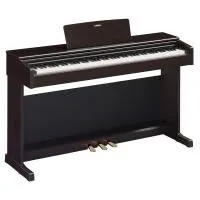 Цифровое пианино MUZPLANET YDP-145 R