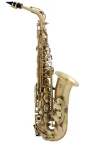 Саксофон-альт Selmer Reference 54 PAO