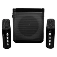 Переносная караоке система [TRS2406] iconBIT [K702B] Колонка 10Вт, 2 микрофона Bluetooth, подсвктка, с аккумулятор в колонке 1500mah и микрофонах, 16*12*16.7 CM, цвет черный