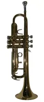 Pierre Cesar M5210M помповая труба Bb, серия Conductor, клапаны из сплава Monel, золотое покрытие. Китай