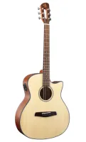 Prodipe SGA50S - Электроакустические гитары