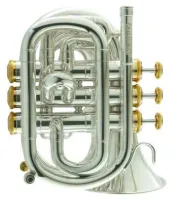 Мини-труба Bb CarolBrass CPT-1000-YSS-Bb-SG